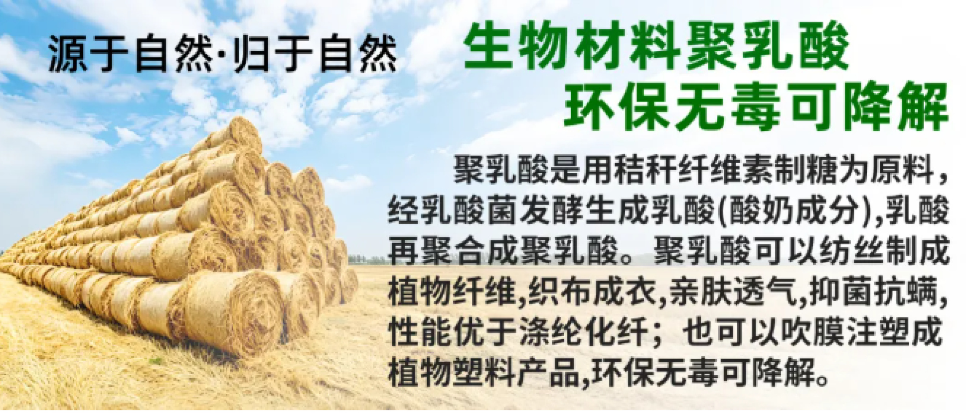 新政落地！央国企绿色采购提速，丰原聚乳酸全品类产品成央国企绿色采购新选择